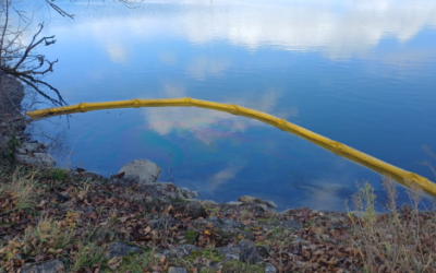 INFORMATION : Interdiction de pêche et de baignade pour les animaux domestiques au lac Pétra.