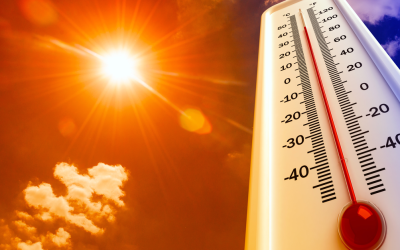 CANICULE : Passage en vigilance rouge à compter de lundi 22 juin 2026.