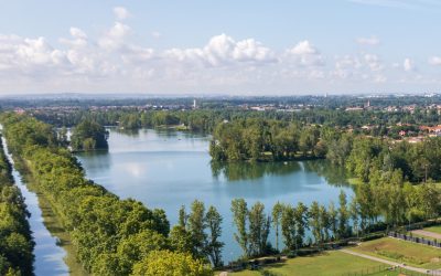 PRÉSENCE DE CYANOBACTÉRIES LAC DU BOCAGE